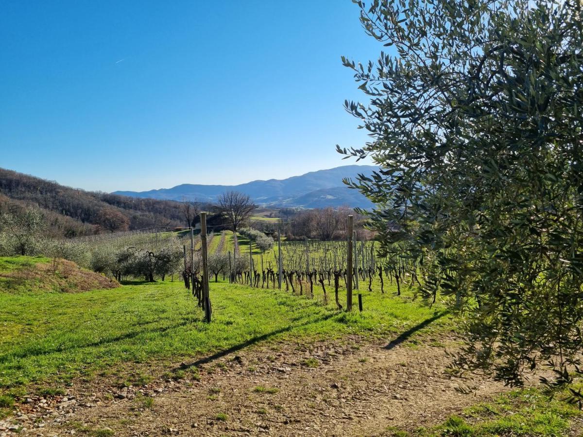 Walkandrace Sant'Agata  Εξωτερικό φωτογραφία